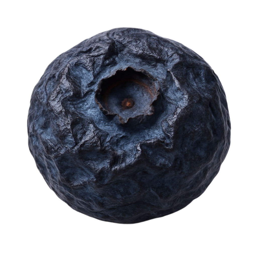 KUMU Dried Blue Berry