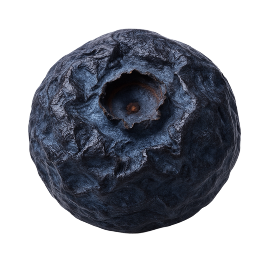KUMU Dried Blue Berry