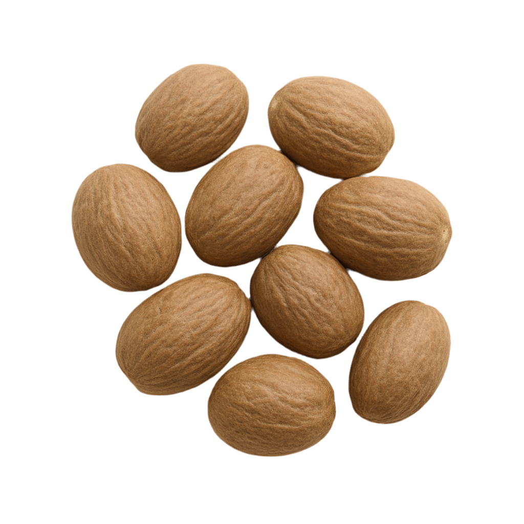 KUMU Nutmeg